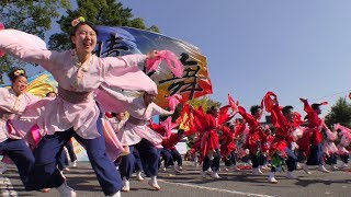 「中京大学　晴地舞」豊明秋まつり2017【縁舞祭】