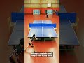 when you are table tennis players but you want to play tennis with @tricks_shot_life3342