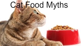Cat Food Myths