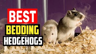 ✅Best Bedding for Hedgehogs Review 2025