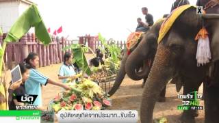 สุรินทร์จัดวันช้างไทยยิ่งใหญ่ | 13-03-60 | ชัดข่าวเที่ยง