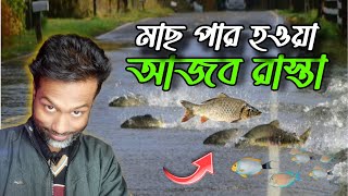 পৃথিবীর সবচেয়ে রহস্যময় ও বিস্ময়কর স্থানগুলোর অজানা কাহিনি! 🌍🔥