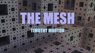 The Mesh