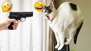 Try Not To Laugh 😻 Funniest Cats and Dogs 2024 🐶