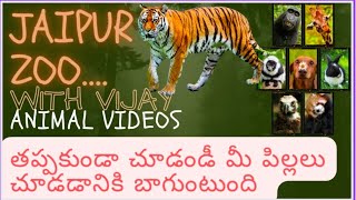 జైపూర్ లో వన్య ప్రాణుల సంరక్షణ కేంద్రం...jaipur zoo...!