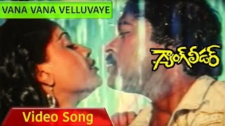 Gang Leader Full Video Songs || Vana Vana Veluvaye || Chiranjeevi, Vijayashanti