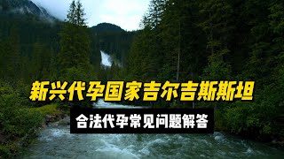 新兴代孕国家吉尔吉斯斯坦代孕常见问题解答#代孕机构 #合法代孕#试管#吉尔吉斯斯坦代孕#亚美尼亚合法代孕