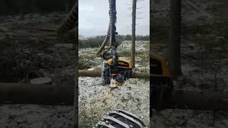 Heavy Machines Ponsse Scorpion King in action