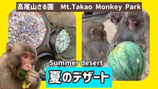 【高尾山さる園】夏のデザート【SNOW MONKEY】