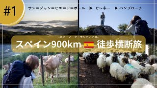 スペインを900km歩く旅。1〜2日目【カミーノ】