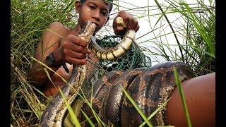Primitive Technology: Simple DIY Python Snake Trap Using Real hand That Work 100%