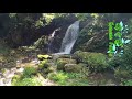 吉滝 yoshitaki falls・【兵庫但馬 香美町】完全な裏見の滝！心地よい緑と滝の裏～水の秘境～