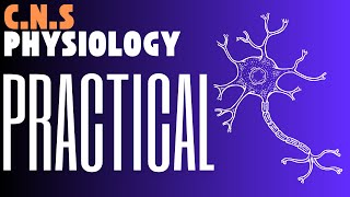 Practical Neurophysiology