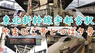 【1080p60fps】ＪＲ東日本東北新幹線 宇都宮駅１番線 やまびこ号・つばさ号 仙台・山形行き １７両編成 発車