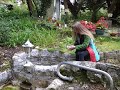 Ireland's Sacred Water filling St. Brigid's Well Sacred Water Ceramic Vessel.