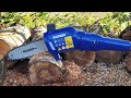 Wild Badger 40 Volt Cordless 8 Inch Electric Pole Saw review