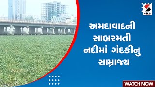 Ahmedabad News | અમદાવાદની સાબરમતી નદીમાં ગંદકીનુ સામ્રાજ્ય | Sabarmati River | Gujarat