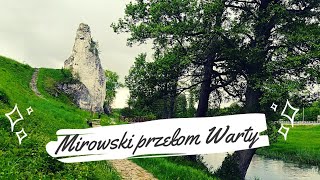 Spływ kajakowy Warta (Mirowski Przełom Warty) - śląskie kajaki