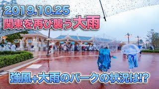 東京ディズニーランド 2019.10.25の様子