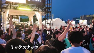 【肉フェス 2024】「ミックスナッツ」-  Official髭男dism【オタ芸】 コール DJ 高井舞香  Meat Fes #俺庭