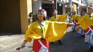 2019 04 06 よさこい世明（せいあ）＠長瀬春祭：埼玉県入間郡毛呂山町前久保商店街