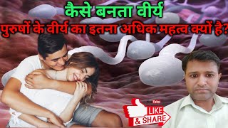 पुरुषों के वीर्य का इतना अधिक महत्व क्यों है? । कैसे बनता वीर्य (SEMEN) । What is Sperm in Hindi?