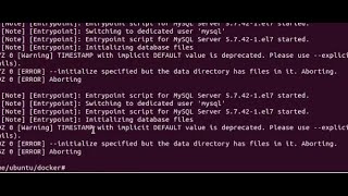 How to fix docker - error creating container: initialize specified but the data directory has files