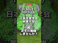 ９月に実施した芝生作業まとめ⛳️芝生観察9月27日