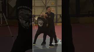 Sifu Abe Santos will be back to Bologna, Italy on March 2025 to promote Jun Fan Jeet Kune Do.