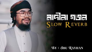 মাদীনা গজল slow reverb || আবু রায়হান কলর ||