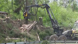 Timber logging along the road (Norway, 2015) / Обрезка деревьев посреди дороги в Норвегии (2015)