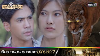 เสืออาคมออกอาละวาดฆ่าคนชั่ว!? | รวมซีนเด็ดประจำสัปดาห์ จอมโจรดอกไม้ขาว Ep.03-06 | one31