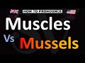 How to Pronounce Muscles Vs Mussels? (CORRECTLY)