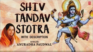 Shiv Tandav Stotra by Anuradha Paudwal I Full Audio Song I Art Track