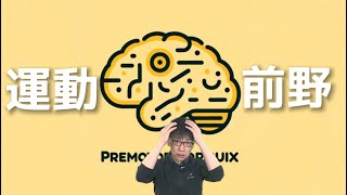 【☑︎失行】高次脳機能 運動前野 機能•役割•脳梗塞•治療/運動イメージ•リハビリ•ミラーニューロン【第3回】