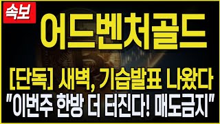 [어드벤처골드 코인전망] 긴급속보! 새벽, 기습발표 나왔다! \