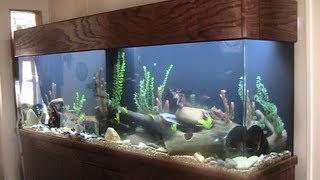 275 Gallon Acrylic Aquarium - Setup, Cost and Review, Plus Maintenance tips