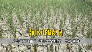 去年“烂场雨”，今年干旱升级、无法耕种，河南的遗憾有多深刻？