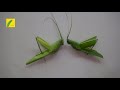 തെങ്ങോല പുൽച്ചാടി how to make a grasshopper from coconut leaf grasshopper making step by step