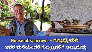 ಗುಬ್ಬಚ್ಚಿ ಮನೆ | ಇವರ ಮನೆಯಲ್ಲಿ ಸದಾ ಇರುತ್ತದೆ 100 ಗುಬ್ಬಚ್ಚಿಗಳು | House of sparrow's