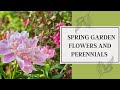 Plant These Garden Perennials and Shrubs for Spring Color 🌸 // Bricks 'n Blooms