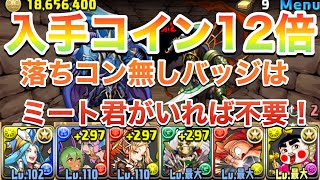 【パズドラ】落ちコンバッジ無しでも落ちコン無しでLFおぼっちゃまくん正月ガネのコイン12倍をソロ周回編成PerigamesVol.75