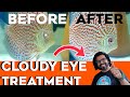 Cloudy Eyes Fish treatment || Fish Eye Disease || Discus Fish Care