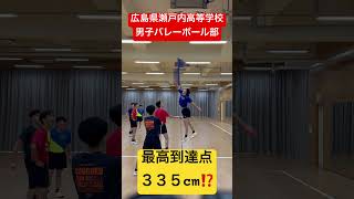 最高到達点３３５cm⁉️ #shorts #瀬戸内高校男子バレーボール部 #春高予選 #春高バレー #最高到達点