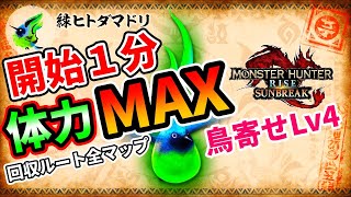 開始１分で体力MAX！全７マップ！「緑ヒトダマドリ回収ルート」「おだんご鳥寄せ術Lv4」【MHR:SUNBREAK】