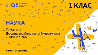 1 клас. Наука. Тема: зір. Дослід: розбираємо будову ока + око орігамі (Тиж.1:ЧТ)