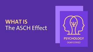 What is the Asch Effect?