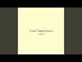 Forest Twilight Serene