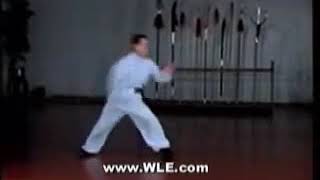 Introductory Shaolin and Lian Bu Chuan #3 WLE.com