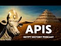 The Most Sacred Animal in History? APIS Bull Full Story | Egypt History Podcast